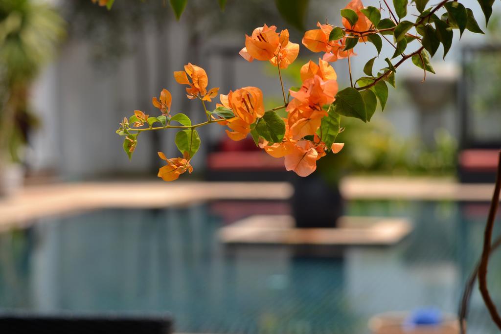 Eureka Villas Σιέμ Ρέαπ Εξωτερικό φωτογραφία